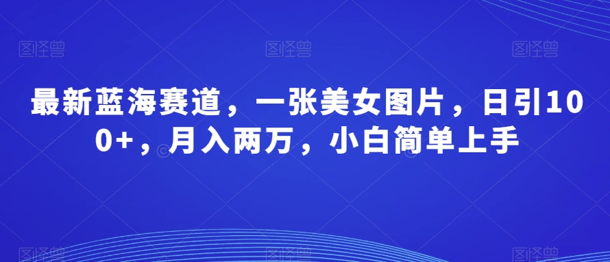 最新蓝海赛道，一张美女图片，日引100+，月入两万，小白简单上手