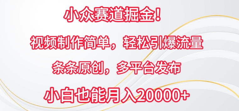 小众赛道掘金，视频制作简单，轻松引爆流量，条条原创，多平台发布【揭秘】